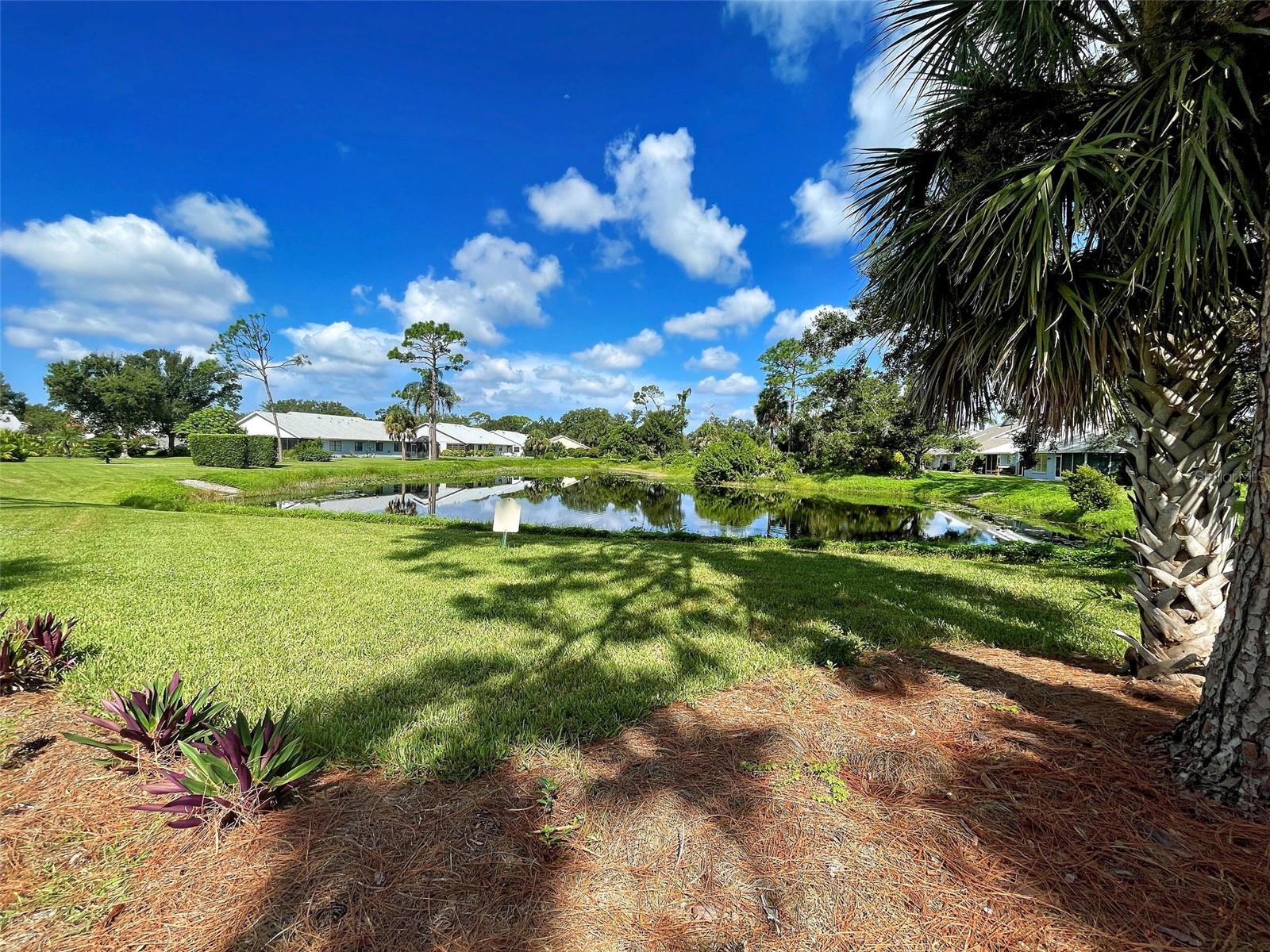 CHESTNUT CREEK VILLAS - Residential