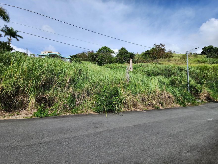 Vacant lot of approximately 1,100 m² in Valle Imperio, Bayamón. Sloped topography with potential for panoramic views. Located in a quiet area, ideal for building a private residence.