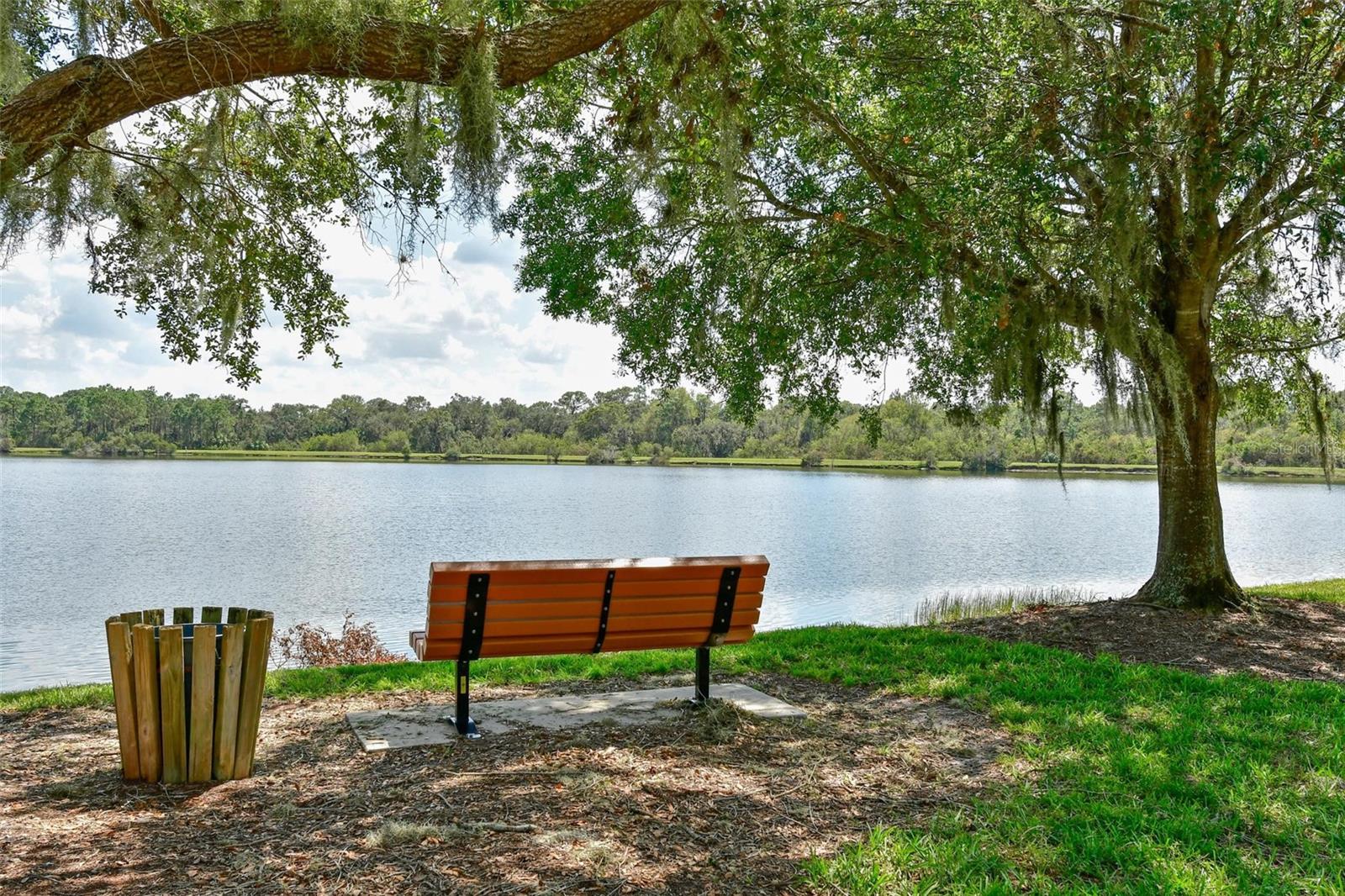 SUMMERFIELD VILLAGE SUBPHASE C - Residential