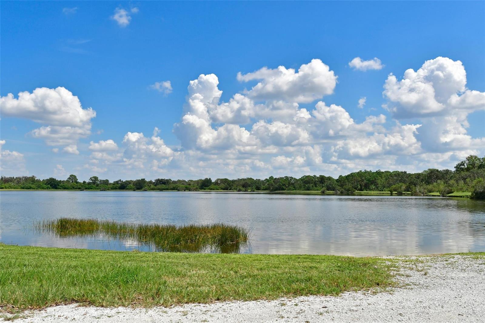 SUMMERFIELD VILLAGE SUBPHASE C - Residential