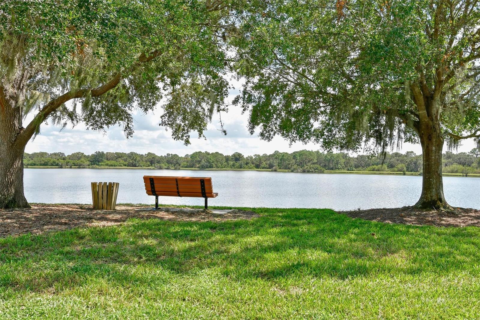 SUMMERFIELD VILLAGE SUBPHASE C - Residential