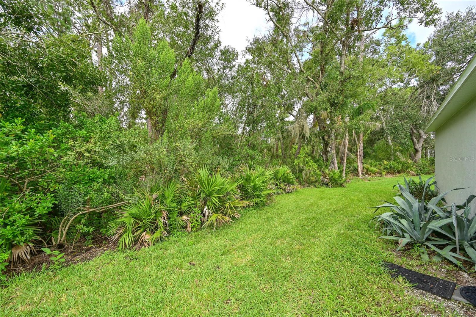 SUMMERFIELD VILLAGE SUBPHASE C - Residential