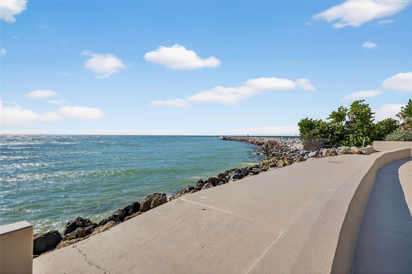 POINT PASS-A-GRILLE CONDO - Residential