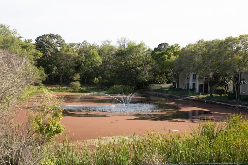 COACHMAN CREEK CONDO - Residential