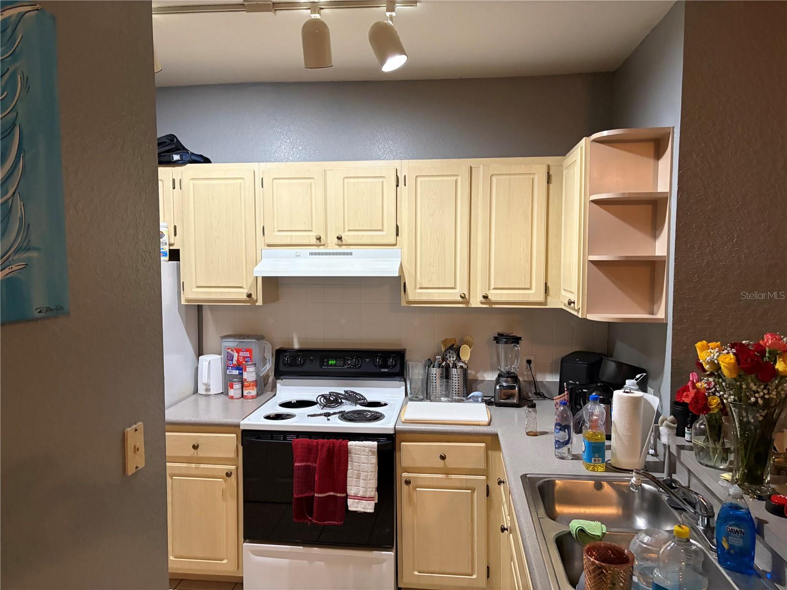 1150 LAKE SHADOW CIRCLE 3305