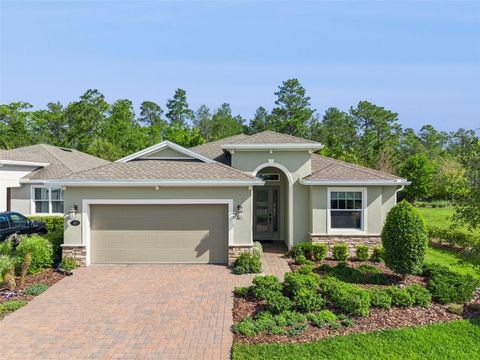 Photo of 1177 Avery Meadows Way, Deland, FL 32724 (MLS # O6395605)