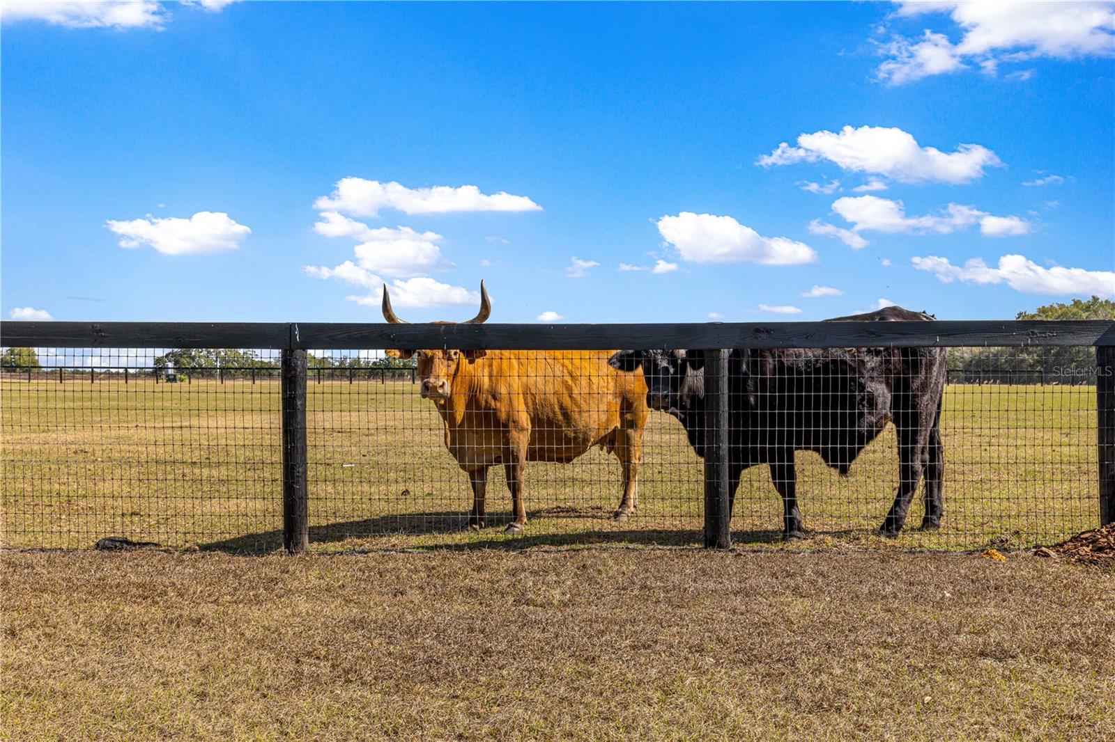 ALLENS LANDING - Residential