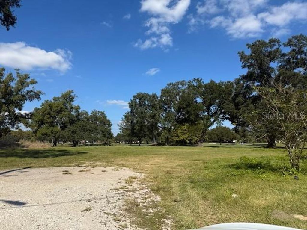 Photo of 1421 Country Lane, Orlando, FL 32804 (MLS # O6354334)