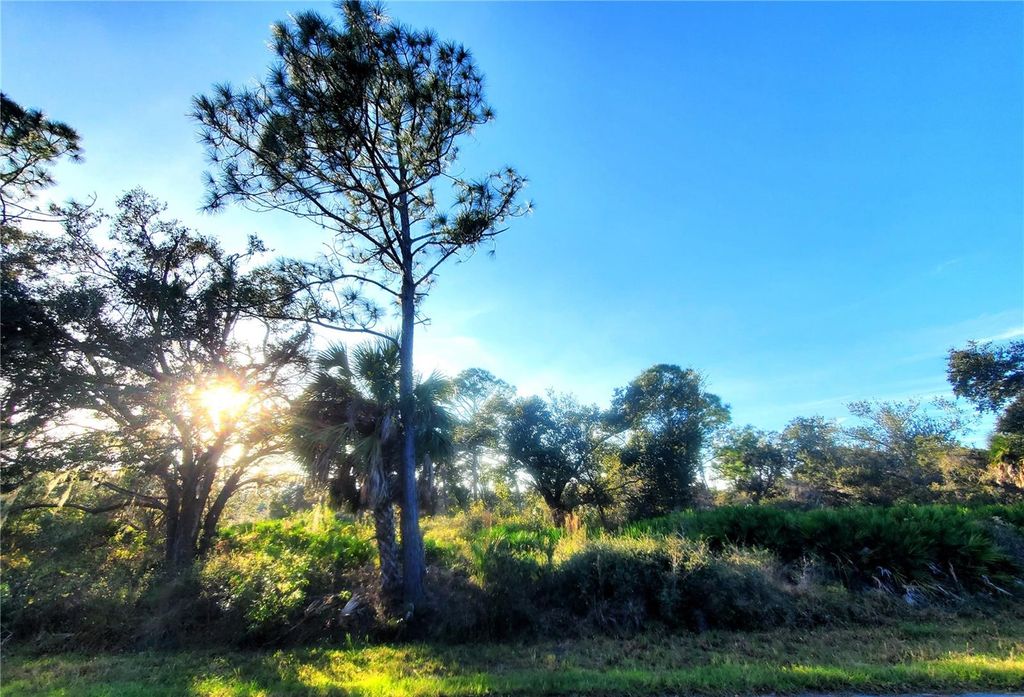 Photo of 1520 Capel St &amp; 1603 Frisco Terrace, Port Charlotte, FL 33953 (MLS # C7485741)