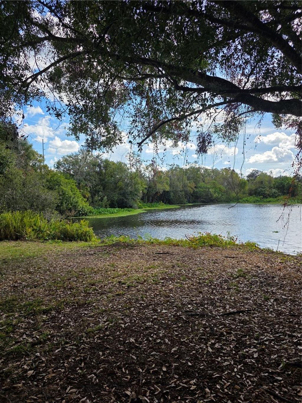 Photo of 721 Redondo Drive, Brandon, FL 33511 (MLS # TB8454763)