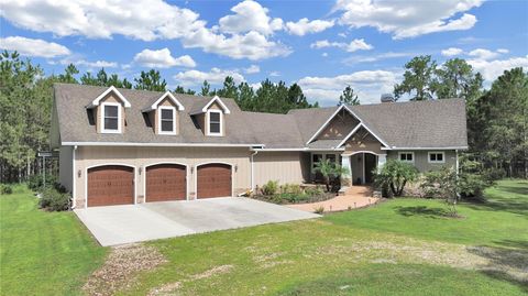 A home in LITHIA