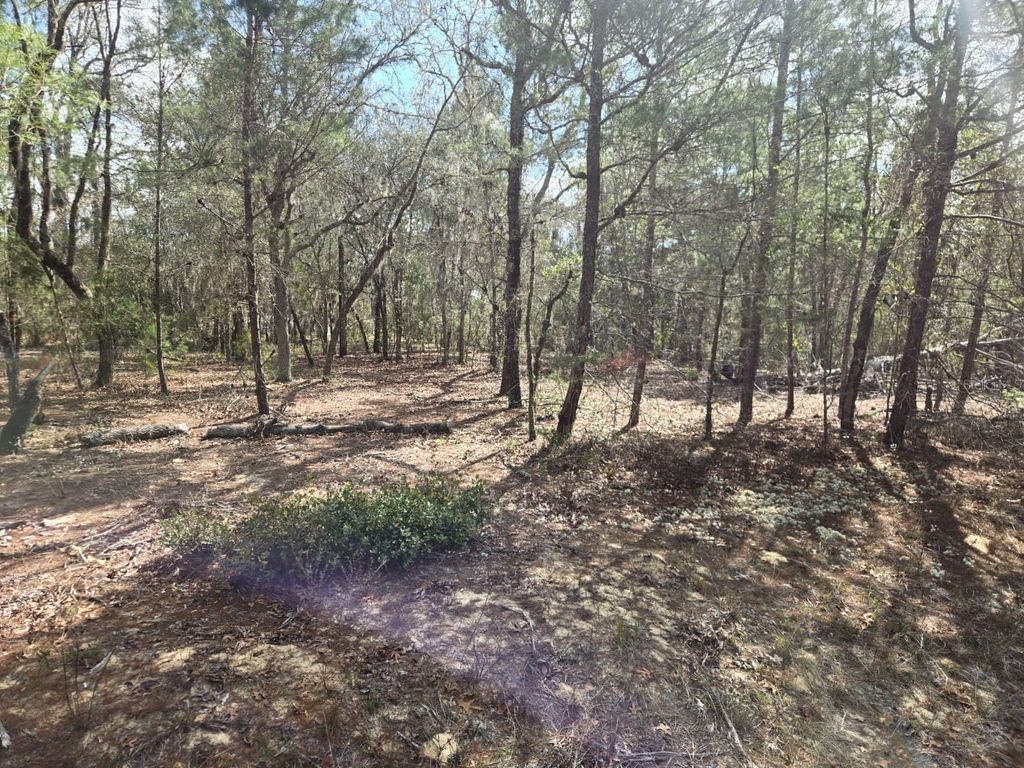 Photo of 206 Wales Street, Interlachen, FL 32148 (MLS # TB8495116)