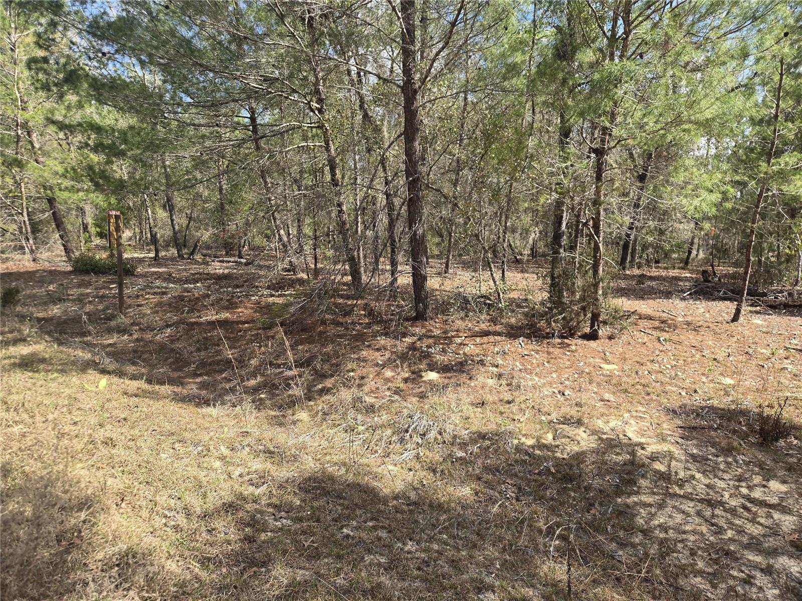 INTERLACHEN LAKES ESTATES - Land