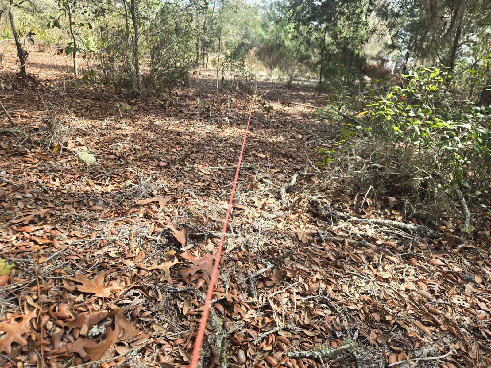 INTERLACHEN LAKES ESTATES - Land