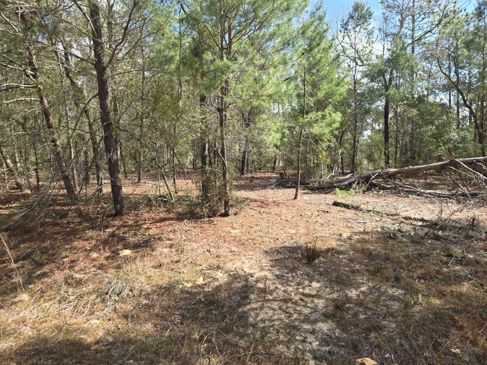 INTERLACHEN LAKES ESTATES - Land