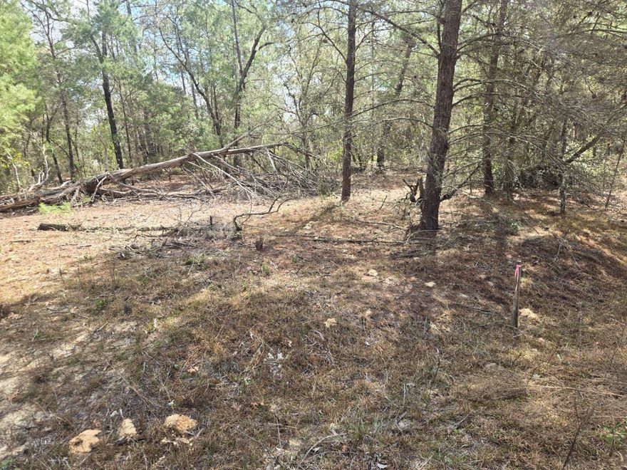 0.23-Acre Prime Lot in Interlachen, FL – No HOA!

Discover the ultimate freedom on this versatile 0.23-acre lot at 206 Wales St. With no HOA restrictions, this property is the perfect canvas for your lifestyle.

Property Highlights:

Versatile Use: Ideal for your Mobile Home, Truck, or RV.

Animal Friendly: Bring your pets and enjoy plenty of open space.

High and Dry: Located in a Non-Flood Zone (Zone X) for peace of mind.

Utilities: Electricity is conveniently located nearby for easy connection.

Strategic Location:

Local Convenience: Close to McDonald’s, local schools, and shopping.

Proximity: Only 40 minutes to Gainesville, 1 hour to Ocala, and 1 hour and 20 minutes to the beach.