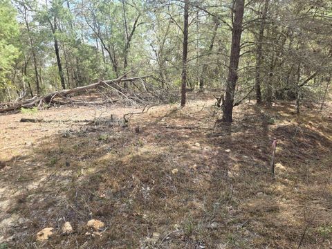 Photo of 206 Wales Street, Interlachen, FL 32148 (MLS # TB8495116)