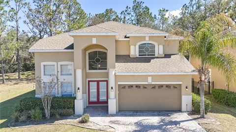 Photo of 33840 Terragona Drive, Sorrento, FL 32776 (MLS # O6401805)