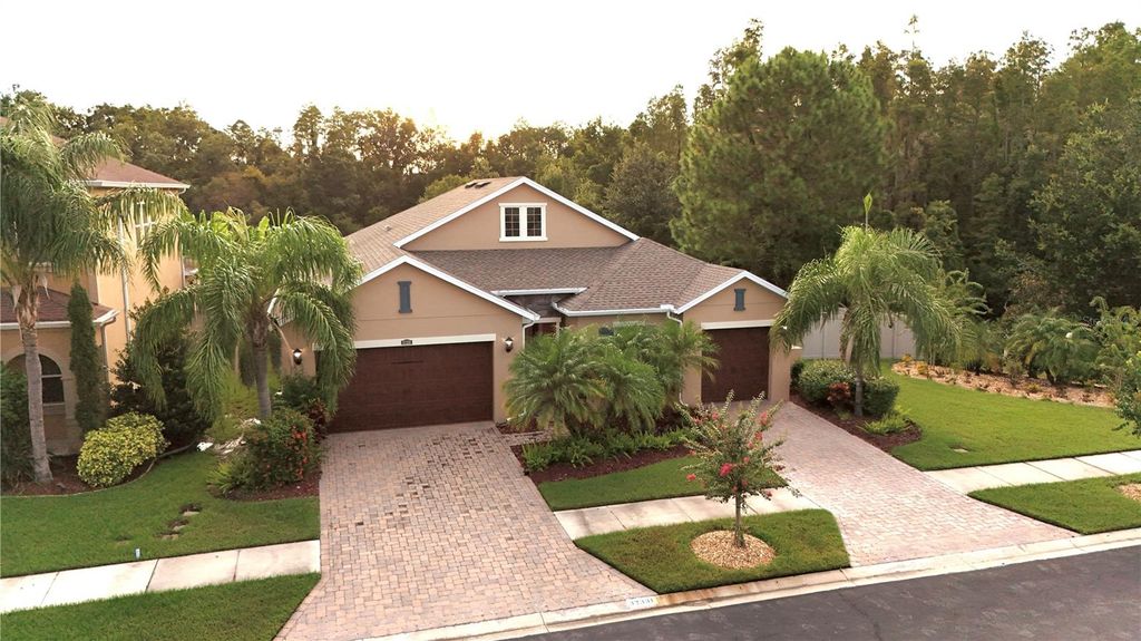 Photo of 32331 Firemoss Lane, Wesley Chapel, FL 33543 (MLS # TB8424446)