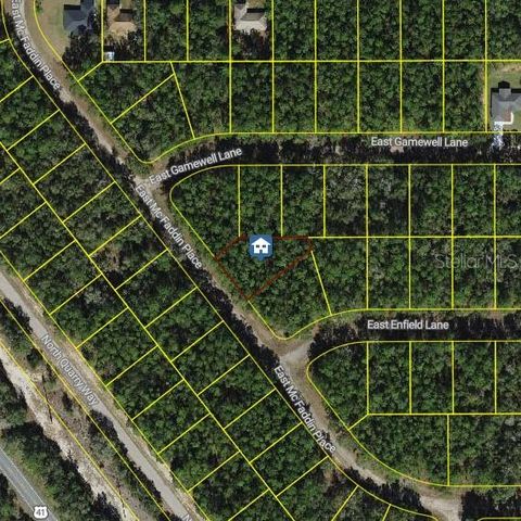 Photo of 198 E Mcfaddin Place, Dunnellon, FL 34434 (MLS # W7884461)