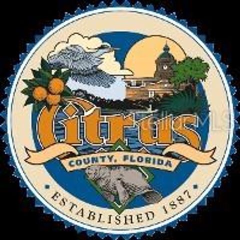 Tiny photo for 198 E Mcfaddin Place, Dunnellon, FL 34434 (MLS # W7884461)