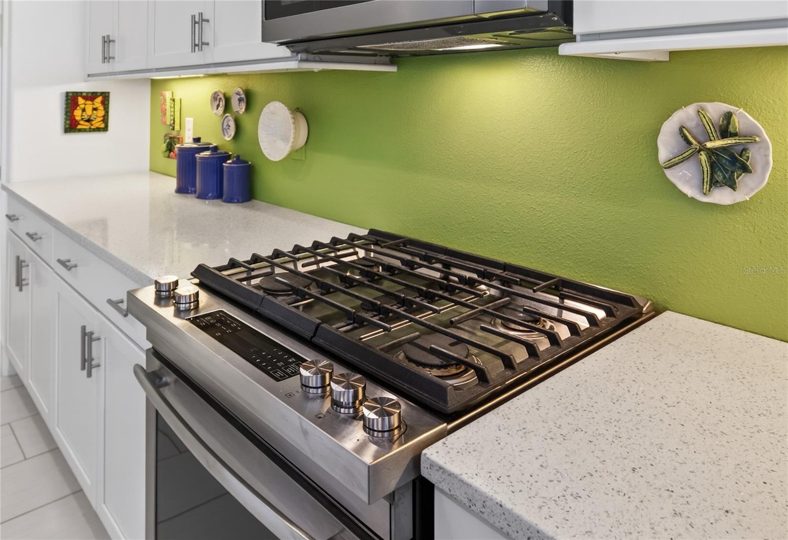 LAKES OF MOUNT DORA - Residential