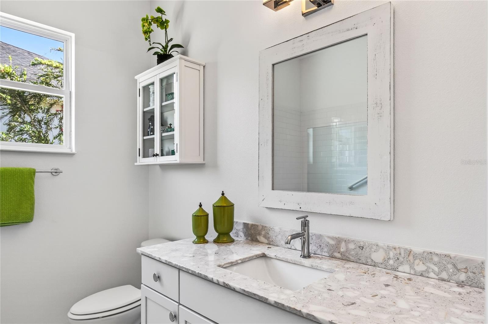 LAKES OF MOUNT DORA - Residential