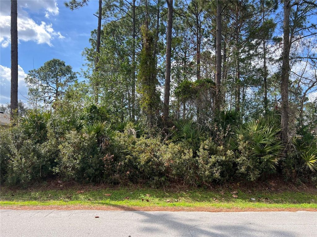 Photo of 68 Birchwood Drive, Palm Coast, FL 32137 (MLS # FC316389)