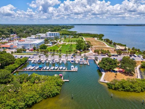 A home in SAFETY HARBOR