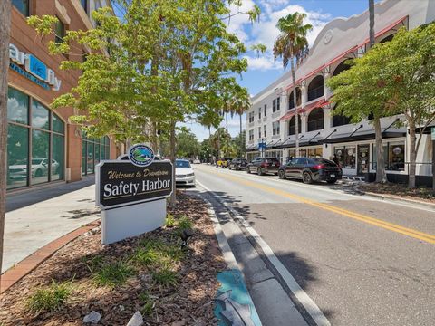 A home in SAFETY HARBOR