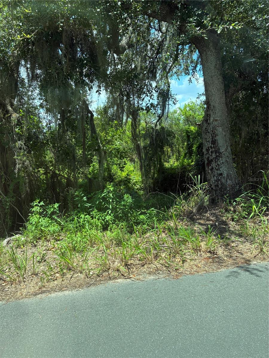 SEAMAN AVENUE