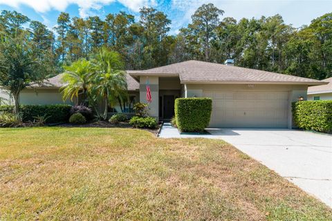 3238 GLENRIDGE DRIVE PALM HARBOR FL 34685