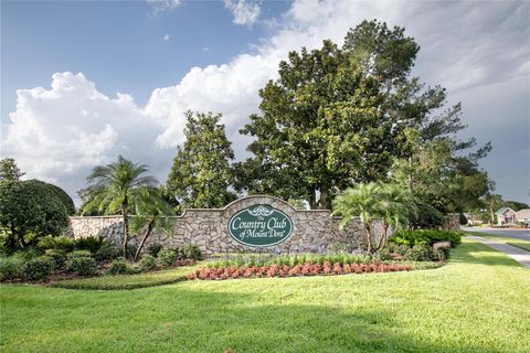 A home in MOUNT DORA