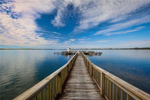 A home in MOUNT DORA