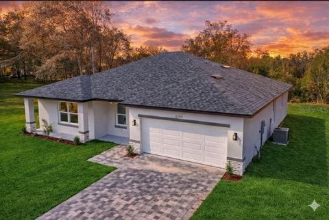 6299 N ALLSTON TERRACE CITRUS SPRINGS FL 34433