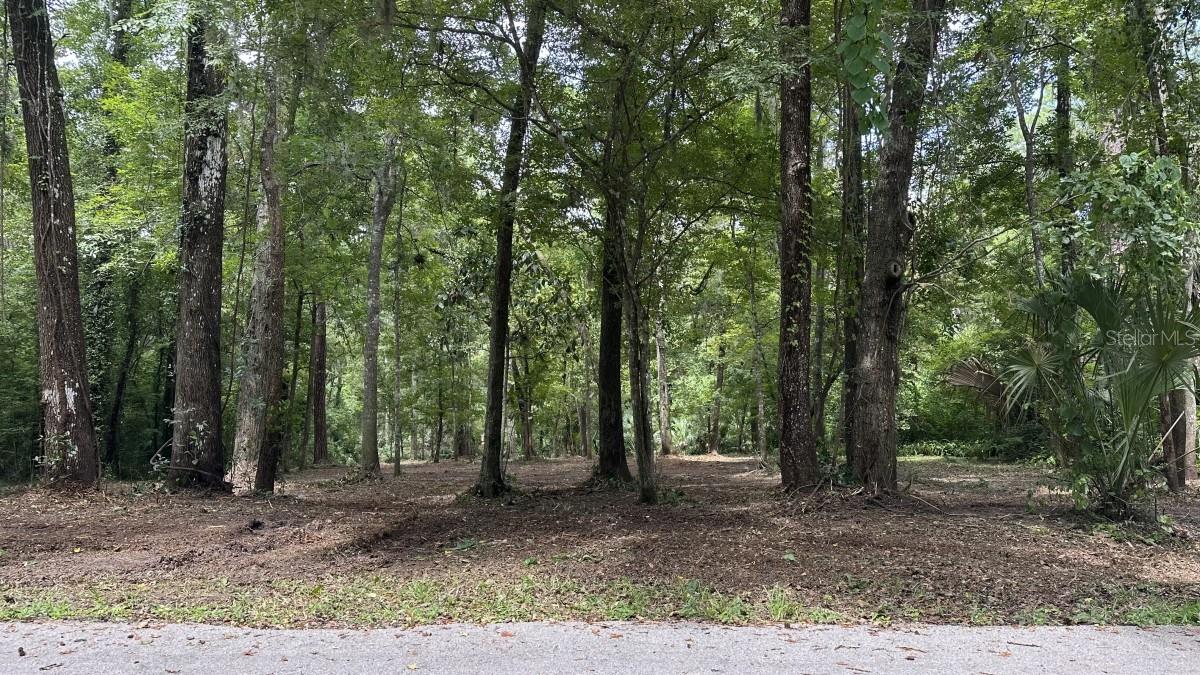 Build your dream home on over 3/4 acres of creekside property. This is the last lot available in Rock Creek. It is on the west end of the park. Possum Creek winds along the western border and the lot line is the middle of the creek. The 2.5 acres beyond the creek are owned by Alachua County, so it is very unlikely to be developed. You’re in the middle of Gainesville, but will feel like you’re in the middle of nowhere.
The lot has a gradual slope from the road to the creek. It is set up for city sewer. The lot was recently professionally appraised at $242K.
Rock Creek is one of Gainesville’s best neighborhoods. The private neighborhood park is across the street from this lot. The park has pickleball, tennis, swimming pool, basketball, and racquetball! There are no through streets, so traffic is very light. The neighborhood has people of all ages. Rock Creek has a recently renovated children’s playground with swings, slides, and multiple climbing structures. Neighborhood children and their friends often meet there.