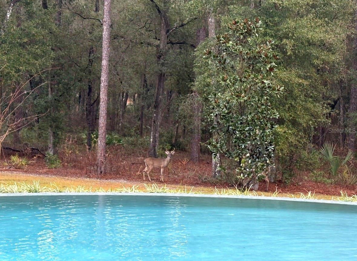 NO IN A SUBDIVISION - Residential