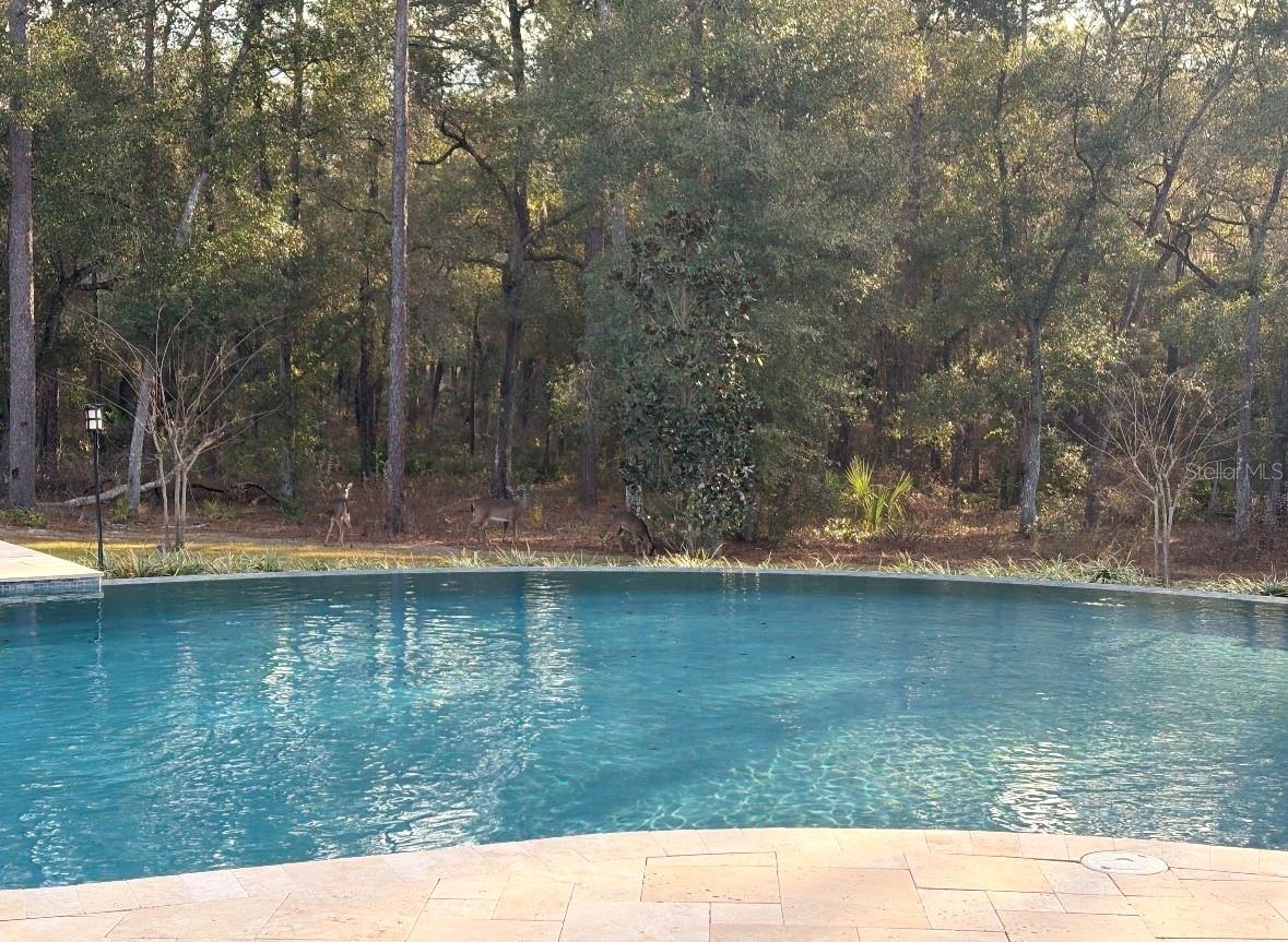 NO IN A SUBDIVISION - Residential