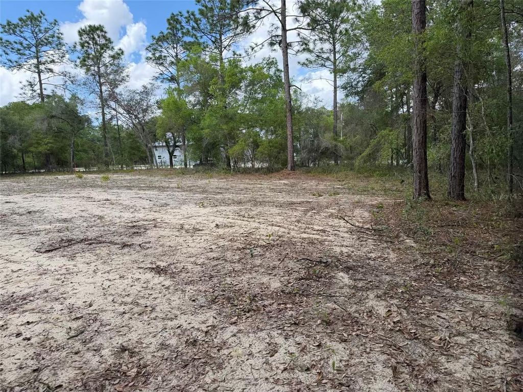 Photo of 105 Race Street, Hawthorne, FL 32640 (MLS # GC539180)