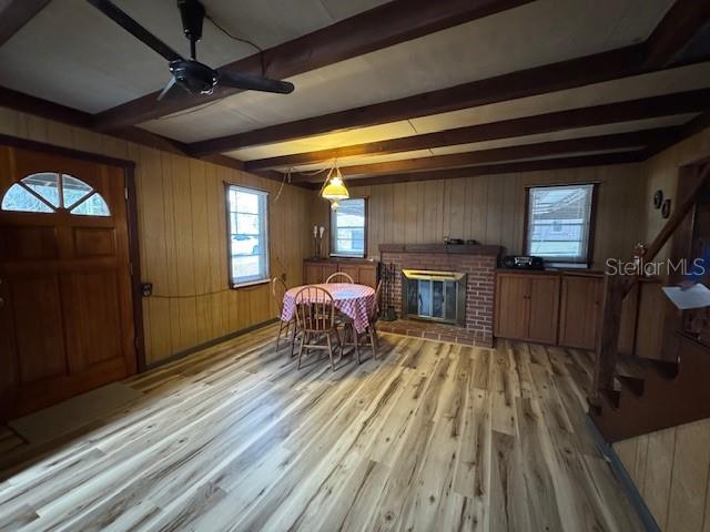 OLIVE PALM - Residential