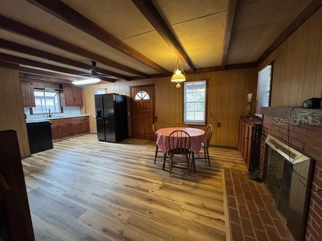 OLIVE PALM - Residential