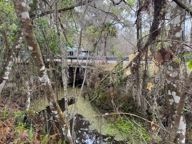 OLIVE PALM - Residential