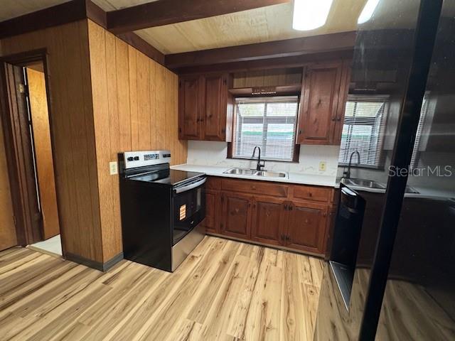 OLIVE PALM - Residential