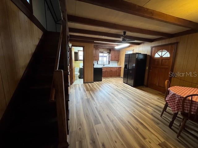 OLIVE PALM - Residential