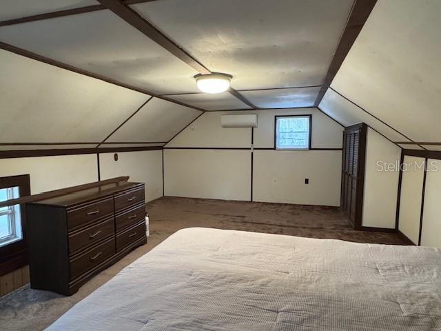 OLIVE PALM - Residential