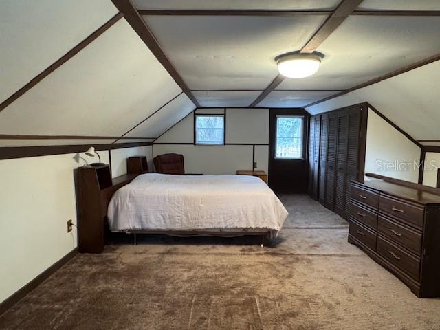 OLIVE PALM - Residential