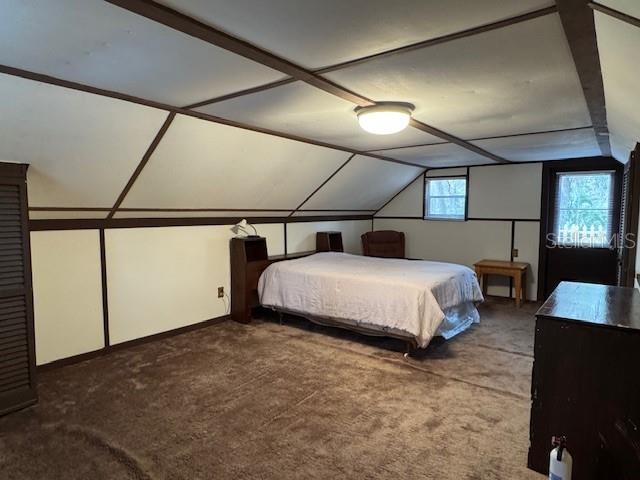 OLIVE PALM - Residential