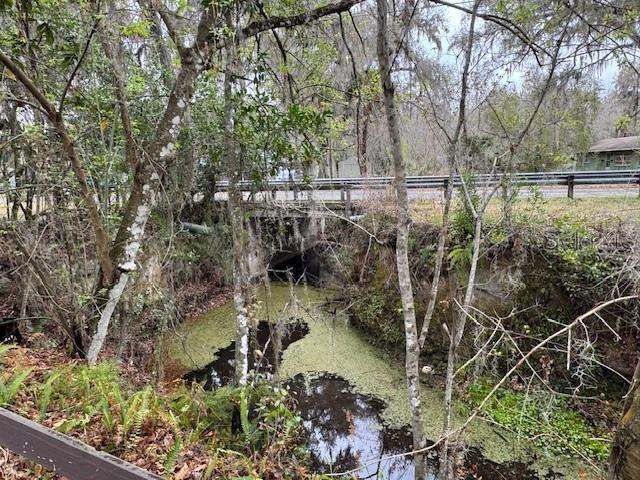 OLIVE PALM - Residential