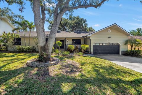 7461 PESCADOR PLACE SEMINOLE FL 33772