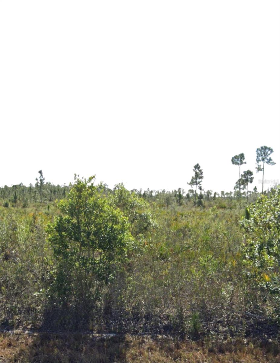 INDIAN LAKE ESTATES UNIT 09 REV - Land